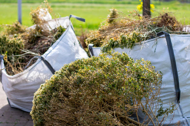 Best Same-Day Junk Removal Services  in Timberline Fernwood, AZ